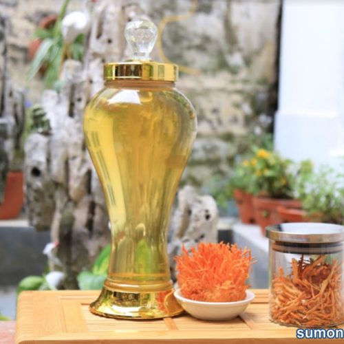 Rượu đông trùng hạ thảo món quà tết ý nghĩa năm 2019