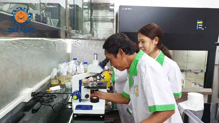 Giới thiệu công ty sumo nhật việt