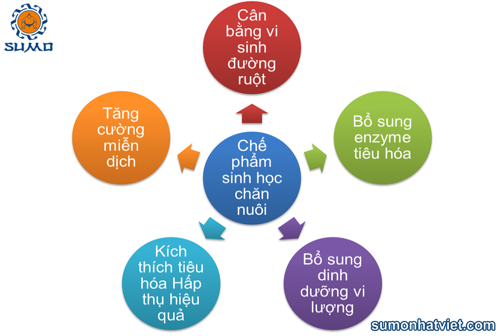 Nguyên lý hoạt động của chế phẩm sinh học trong chăn nuôi