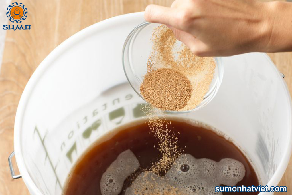 Chế phẩm vi sinh ủ thức ăn chăn nuôi