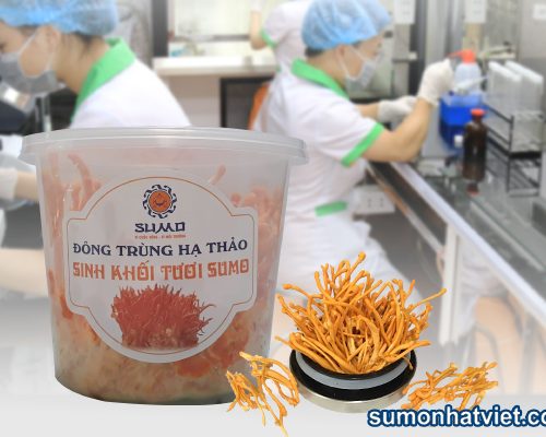 Đông trùng hạ thảo sinh khối tươi SUMO