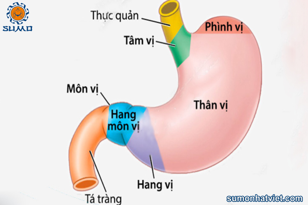 fix logo chuan 82