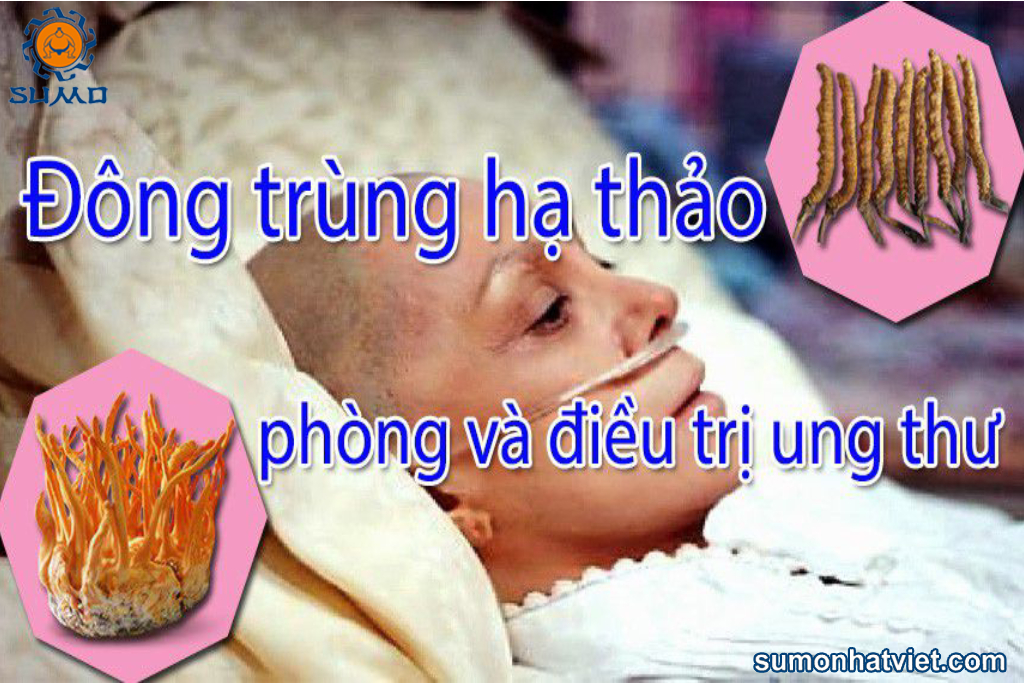 Người bị ung thư xương có dùng được đông trùng hạ thảo không?