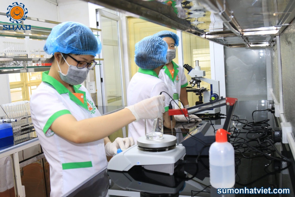 Dự án nghiên cứu sản xuất phân bón đa năng