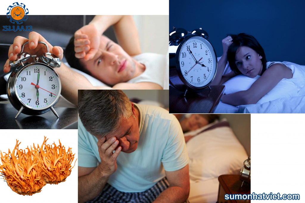 Đông trùng hạ thảo chữa mất ngủ