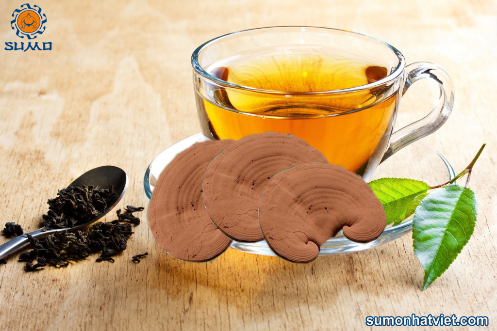 Có nên uống nấm linh chi thường xuyên không?