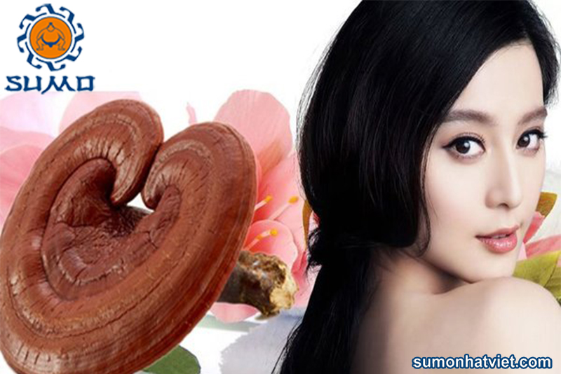 nam linh chi co tac dung tot voi chi em phu nu