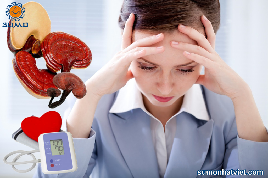 Nấm linh chi trị huyết áp thấp liệu có thật sự hiệu quả