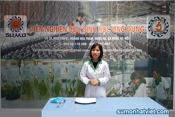 PHÒNG CHỐNG VIRUS CORONA MỚI - NGƯỜI DÂN CÓ THỂ TỰ LÀM KHẨU TRANG GIẤY AN TOÀN TẠI NHÀ