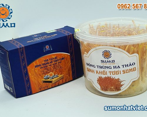 Combo trà Đông trùng hạ thảo và Đông trùng hạ thảo tươi