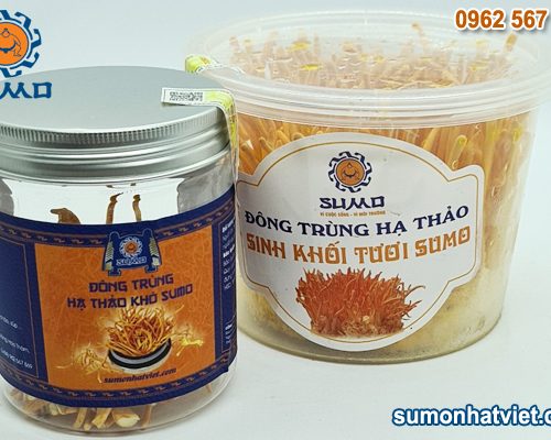 Combo 1 hộp Đông trùng hạ thảo sinh khối tươi + 1 hộp Đông trùng hạ thảo Sấy thăng hoa