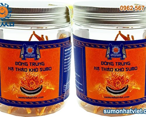 Combo 2 hộp Đông trùng hạ thảo khô