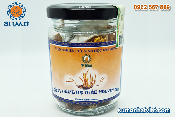 Đông trùng Hạ thảo nguyên con (sấy khô)