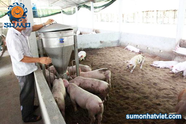 Bảo dưỡng đệm lót