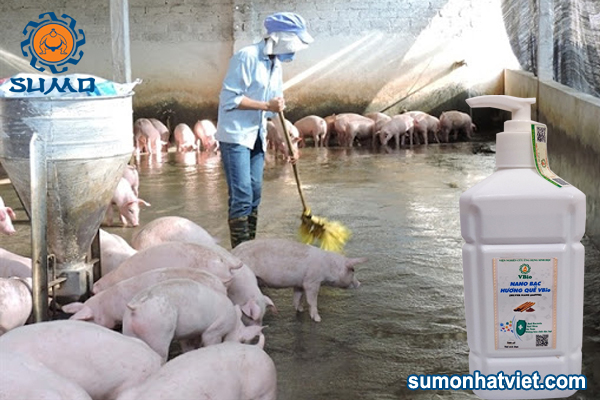 Chế phẩm EM khử mùi hôi chuồng trại