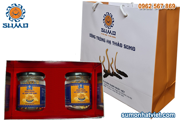 Quà tết cao cấp đông trùng hạ thảo