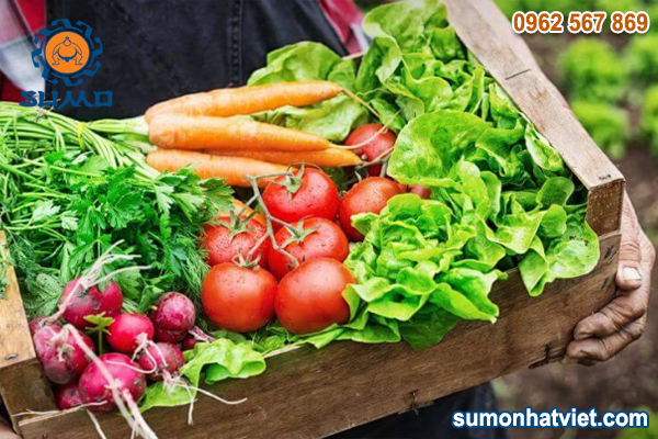 chung nhan huu co viet nam 01