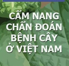 Cam nang chan doan benh cay o Viet nam 1167a3db 1a3c 484e afab 30af8d481b60 e1718071675277