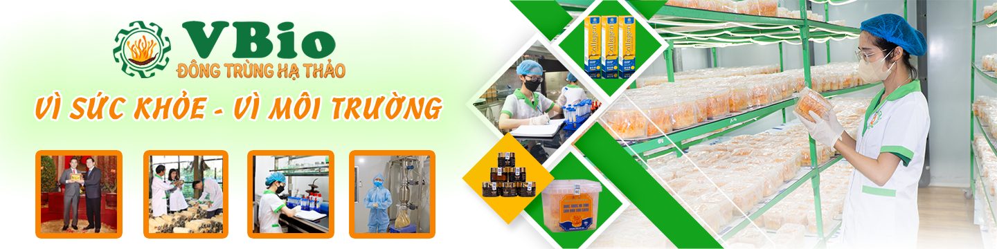 đông trùng hạ thảo cao cấp