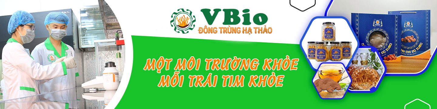 đông trùng hạ thảo vbio